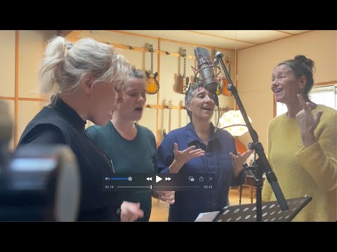 Tone Of Voice Orchestra - Tourist at God's Mercy - a peek into the studio