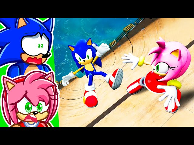 SONIC & AMY vs 9,784,235 Feet Fall!