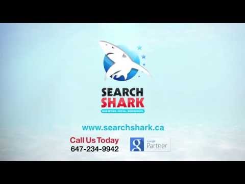 SEO Search engine optimization North York -(647)234-9942 Call Now
