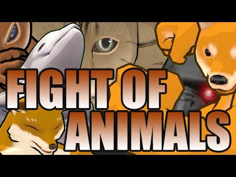 video Fight of Animals