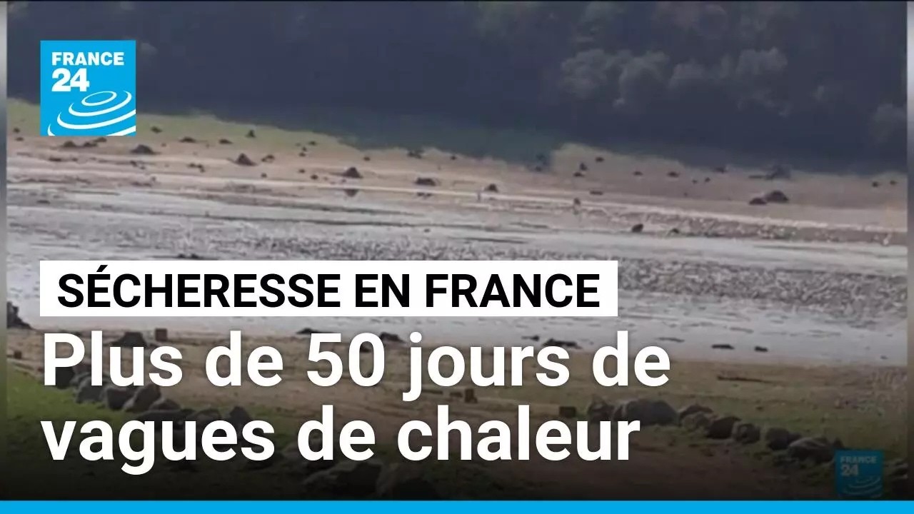 Sécheresse en France : des ruisseaux à sec face aux températures records de 2026 • FRANCE 24