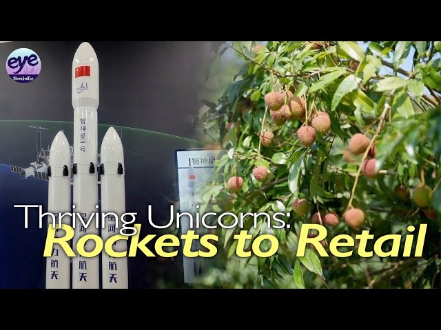 Unicorn companies drive growth from aerospace to retail in China
