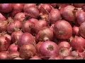 Re. 0.20 paise-a-kg onion for farmers in MP; Rs. 20-a-kg in market