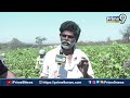తంబళ్లపల్లికి ఆయన నిజమైన నాయకుడు.. | Konda Narendra | Prime9 News  - 04:17 min - News - Video