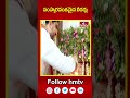 సంస్కారవంతమైన లీడర్లు  | Nara Lokesh | CM Chanddrababu |  hmtv  - 00:59 min - News - Video