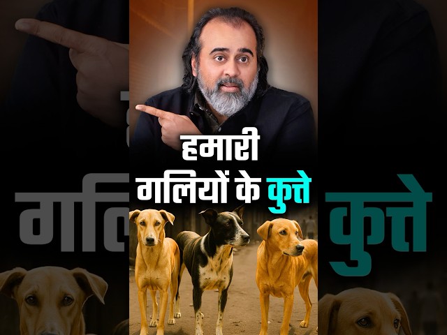 हमारी गलियों के कुत्ते || आचार्य प्रशांत