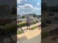 Pair of porch pirates allegedly race to steal same package  - 00:36 min - News - Video
