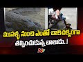Boy narrowly escaped from Crocodiles in Chambal river, shocking visuals