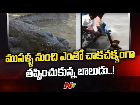 Boy Narrowly Escaped From Crocodiles In Chambal River, Shocking Visuals