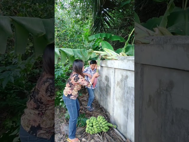 คลิปตลก ขำขัน สนุก คลายเครียด