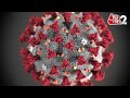 AAJTAK 2 | CHINA NEW VIRUS । CORONA की तरह डराने लगा CHINA का ये नया वायरस! | AT2  - 01:32 min - News - Video