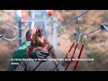 New Tibetan bridge in Italy lets visitors walk 175 meters above the ground  - 02:12 min - News - Video