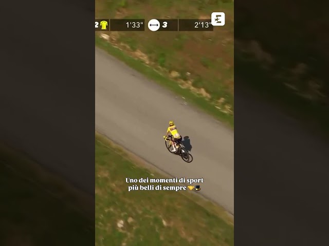 POGACAR cade in discesa e VINGEGAARD  - in maglia gialla - lo aspetta 💛