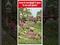 बंगाल के जलपाईगुड़ी में तूफान के बाद भारी नुकसान | #shorts  - 00:50 min - News - Video