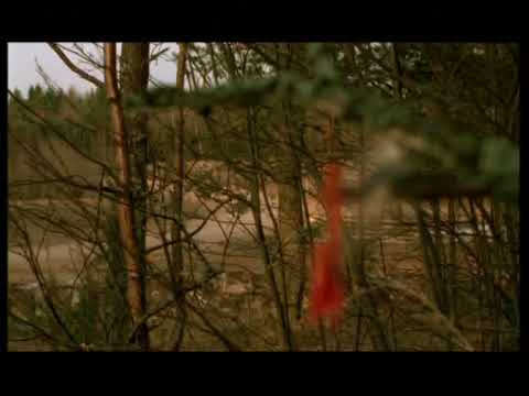 Плеяд - 7 сестёр - Имена Больших звезд плеяд (1994) смотреть онлайн бесплатно на сайте