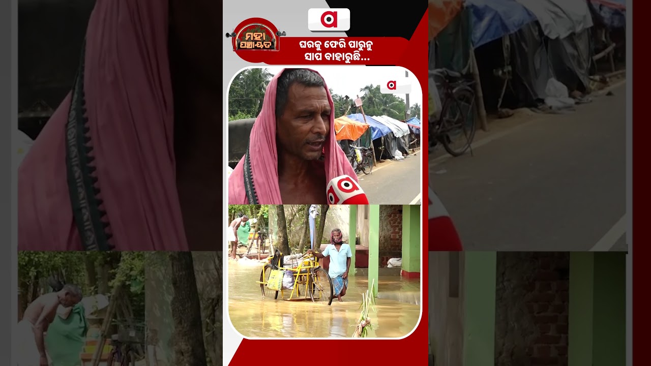 ଘରକୁ ଫେରି ପାରୁନୁ ସାପ ବାହାରୁଛି... | Mahapanchayat | Jajpur Flood | Kani River | Argus News