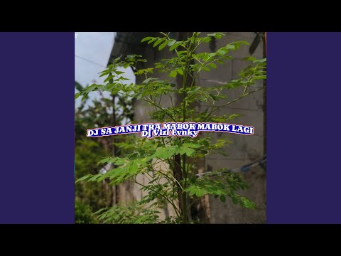 Dj Sa Janji Tra Mabok Mabok Lagi