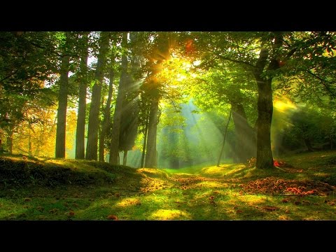 Celtic Instrumental Hymns | Harp, Piano, Strings, & Orchestra