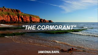 The Cormorant - Damon Albarn (Lyrics//Subtitulado al Español)