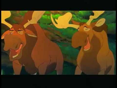 Brother Bear'