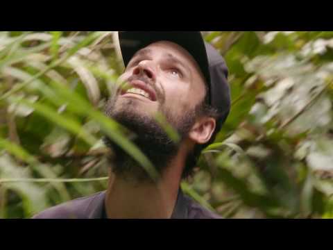 Arjan's Big Year'