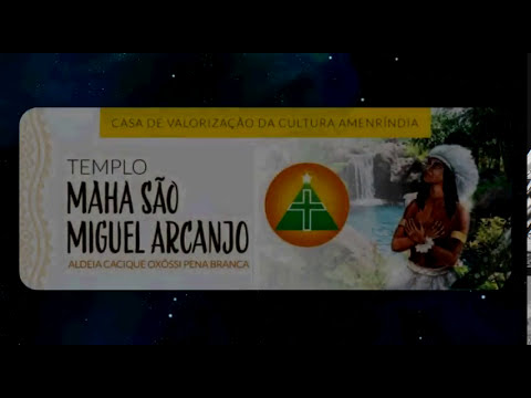 Galeria de Vídeos