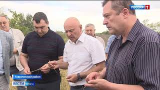 Аграрии рискуют остаться без зерновых, а Омская область  понести потери до миллиарда рублей