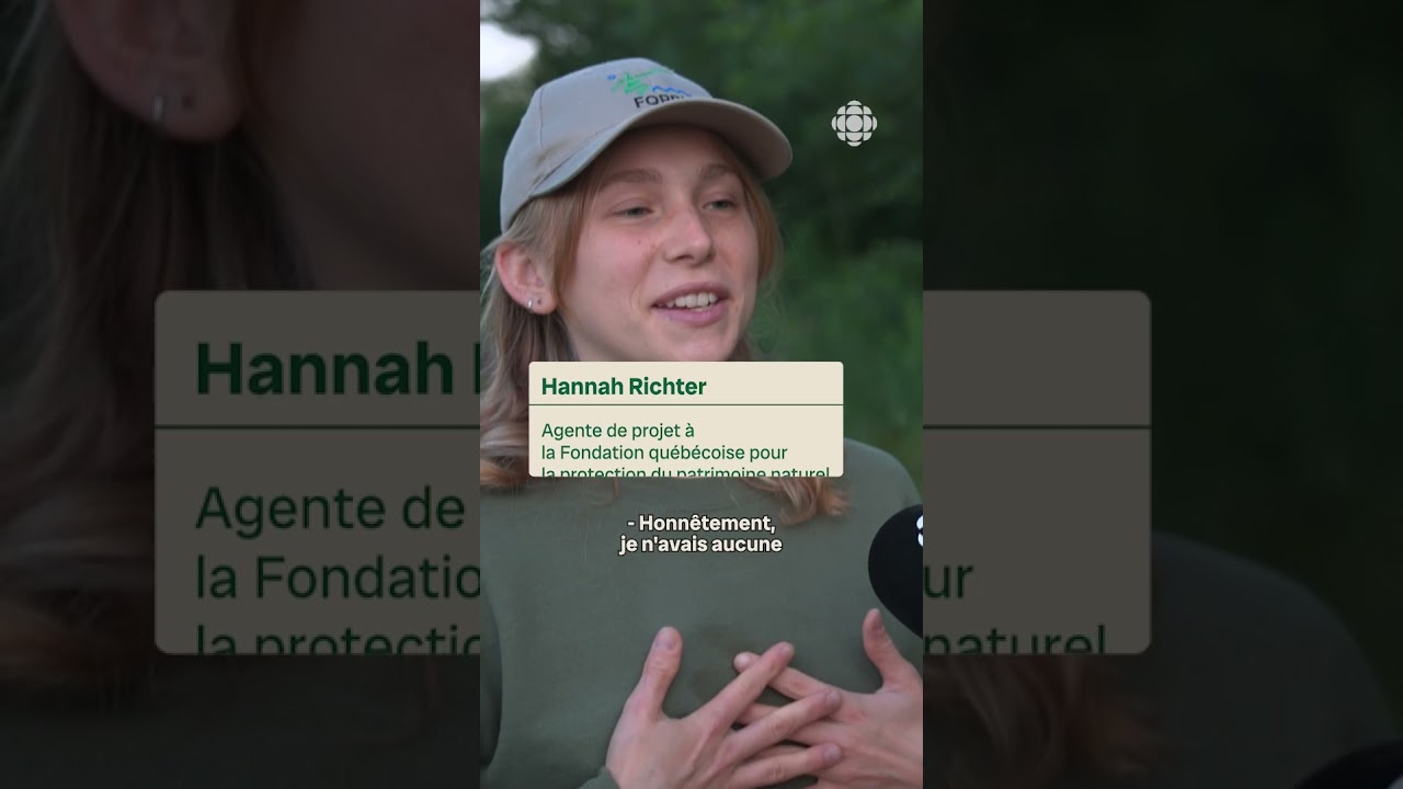 Observer les chauves-souris pour mieux les protéger