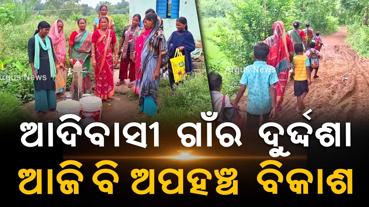 No Road, No Water: Plight Of Tribal Families In Mayurbhanj's Chiteibadi Village | Argus News
