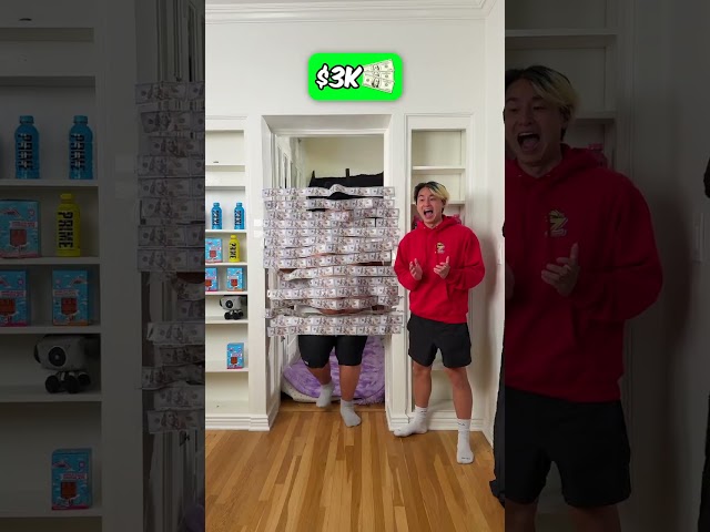 Money Vs Sumo Wrestler!