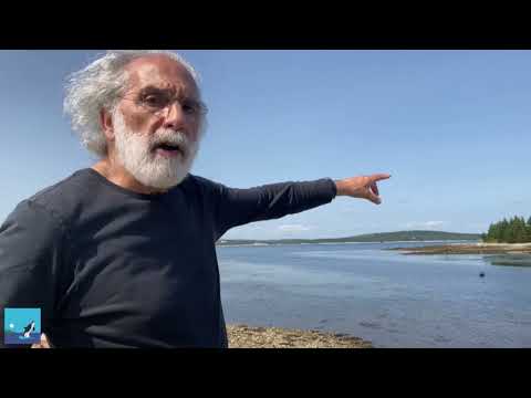 short video from Charles Vinick, our Executive Director, whale sanctuary in Nova Scotia. 