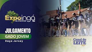 Expoingá 2026 - Julgamento do Gado Jovem da Raça Holandesa
