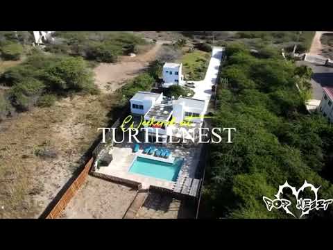 TurtleMan - My Girl 