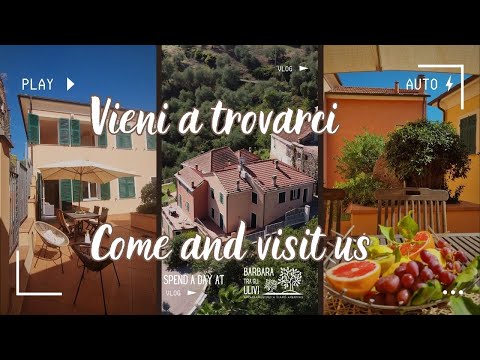 Video realizado por la propiedad