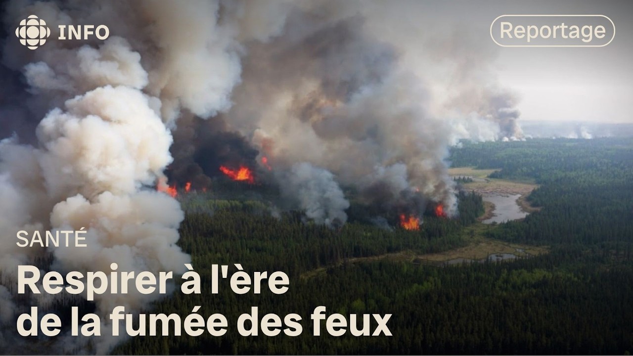 Comment faire face à la fumée des feux? Une tragédie mobilise les citoyens | Découverte