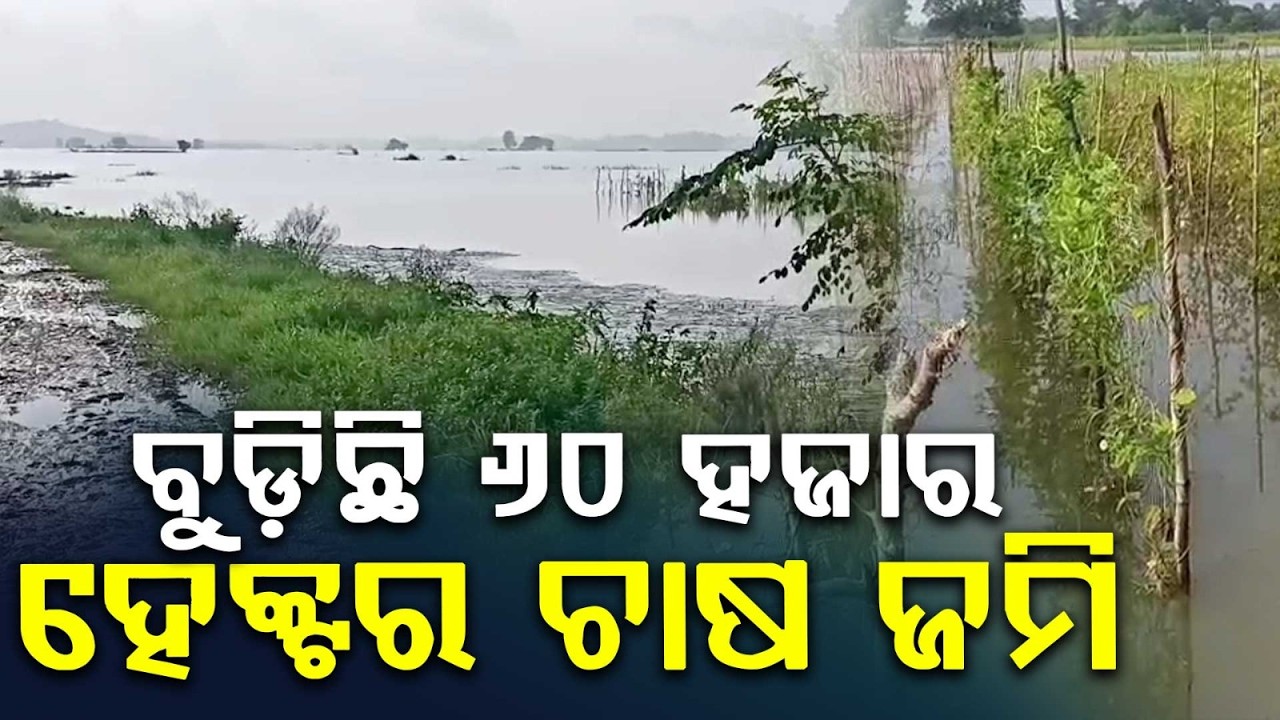 Baitarani & Salandi Recede: 4.82 Lakh Hit, 60k Hectares Submerged In Bhadrak | Argus News