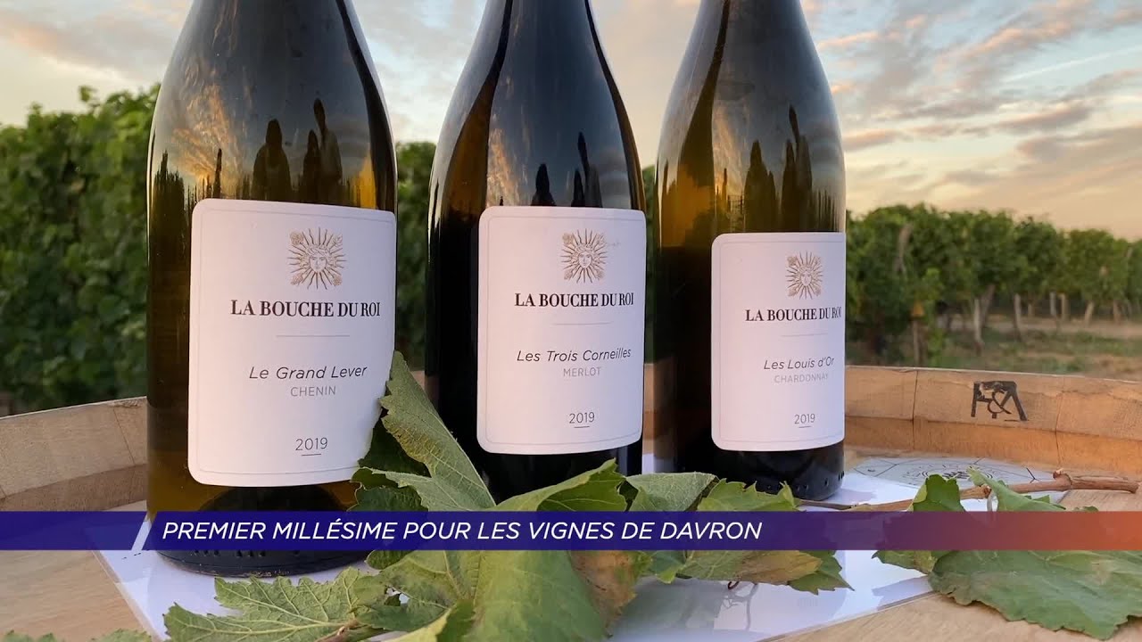 Yvelines | Premier Millésime pour les Vignes de Davron