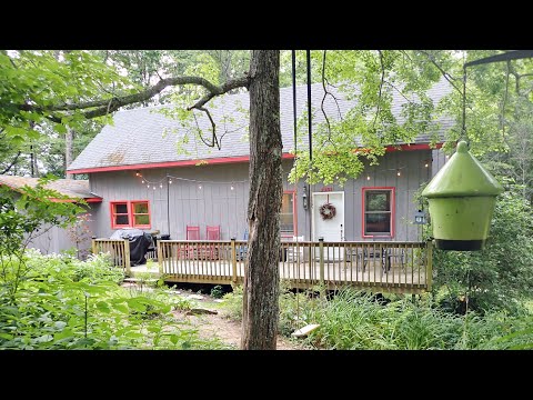Property video
