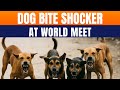 Stray Dog Attack Sparks Outrage During Delhi Para Athletics Championships | News9