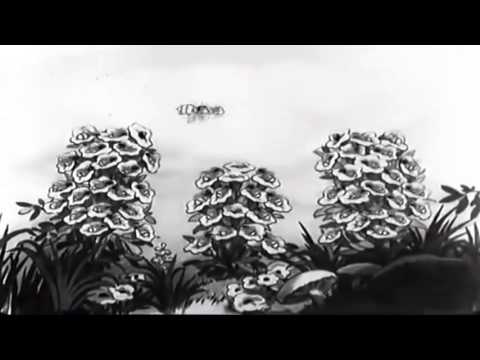 The Bears and Bees'