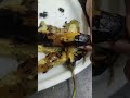 ఒక్క సారి చెయ్యండి రోజు కావాలి అంటారు #food #crazyrecipes