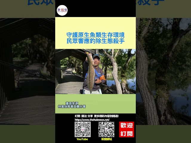 影音/守護原生魚類生存環境 民眾響應釣除生態殺手