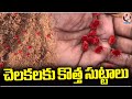 Arudra Worms Appears In Farms | Korutla | V6 News