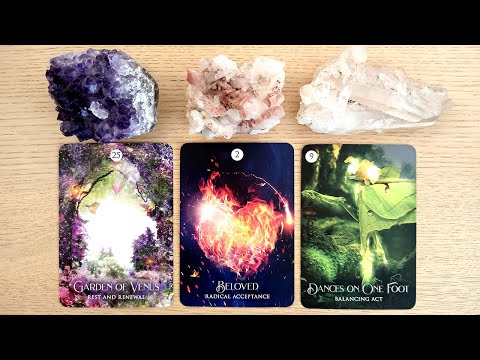 🌺🥀How Are They FEELING About YOU Right Now?🌟 PICK A CARD Timeless Love Tarot