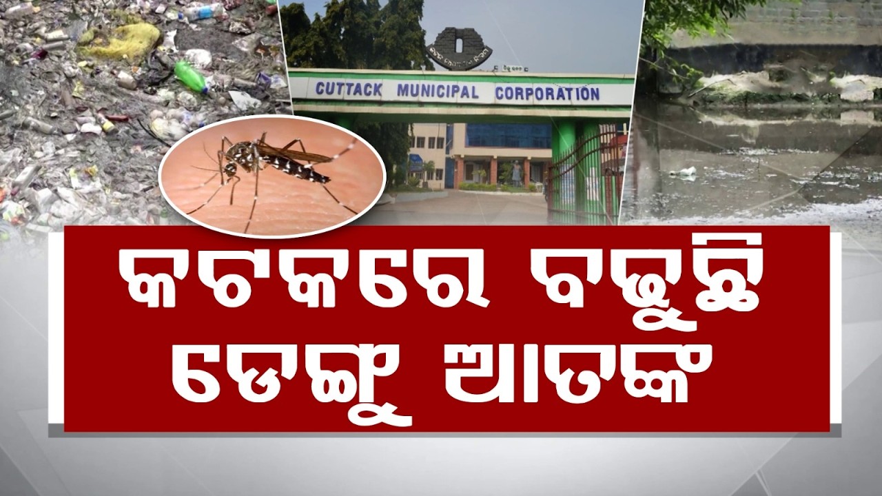 Dengue Scare Grips Cuttack: CMC Faces Backlash Over Negligence As Mosquito Cases Rise In City