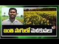 Techniques in Marigold Farming | బంతి సాగులో మెళకువలు | Matti Manishi | 10TV News