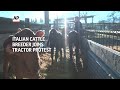 Struggling Italian cattle breeder joins tractor protest  - 01:25 min - News - Video