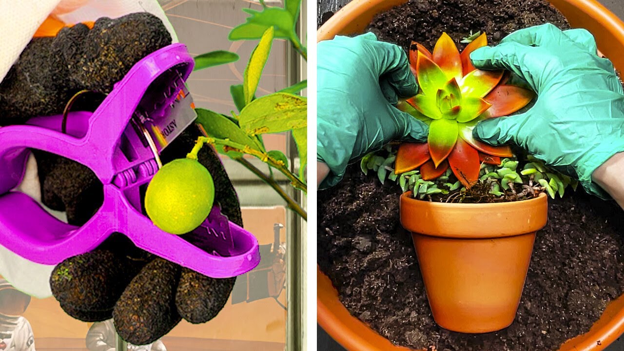 Grow your plants with these useful hacks!
