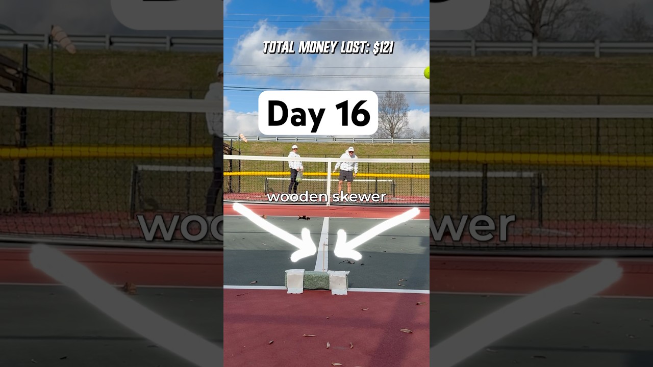 The Windiest Day Possible #pickleball #trickshot