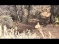 WORCS 2012 MX - Round 7 Central, UT 
